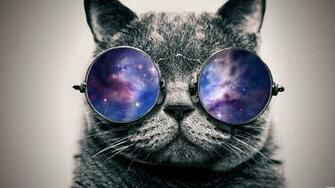 There S Paradise In My Head