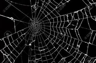 Spider Web Background