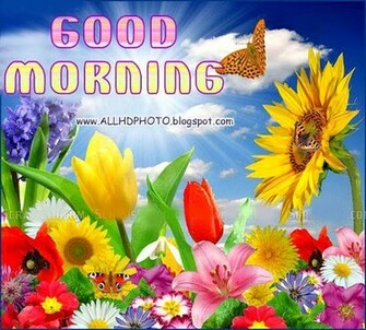 New HD Good Morning Wallpaper Screensavers
