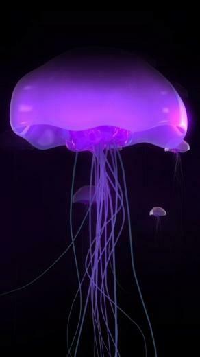Purple Jellyfish Wallpaper iPhone