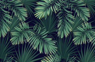 Aesthetic Palm Leaves Wallpaper