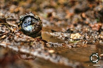 Wallpaper Testing The Camo G Shock Visions