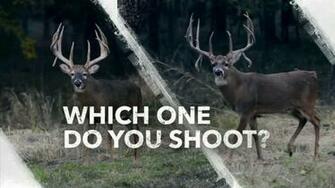 Hoyt Archery