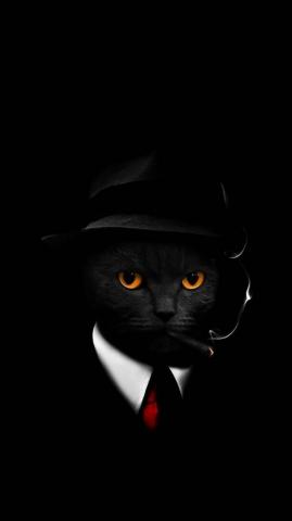Cool Cat Wallpaper By Hende09 Now