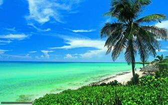 Wallpaper Cuba Palm Beach Ocean Desktop In