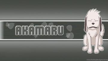 Naruto Wallpaper Kiba The Dog Boy Desktop Background