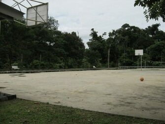 Outdoor Basketball Court Wallpaper Old Before