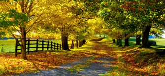 Autumn Themes For Windows Desktop Fun Pureinfotech