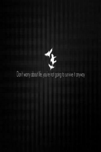 iPhone Wallpaper Funny