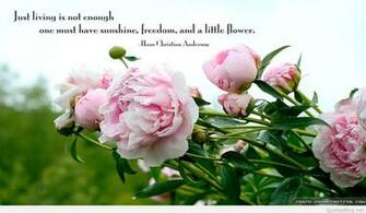 Best Spring Flowers Image Quotes Sayings