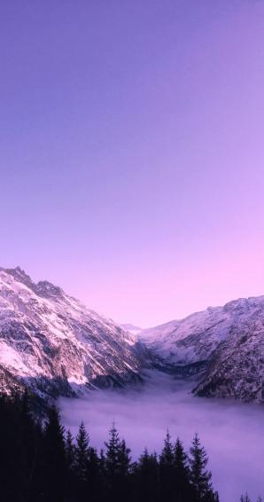 Purple Wallpaper HD Hq