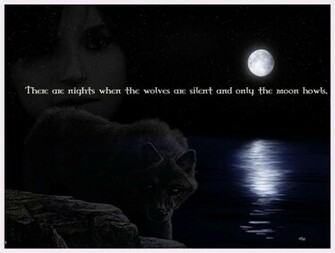 Lone Wolf Wallpaper Wisdom