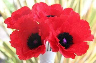 Poppy Flower Wallpaper Full Desktop Background