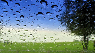 Spring Rain Showering The Lush Green Park Wallpaper