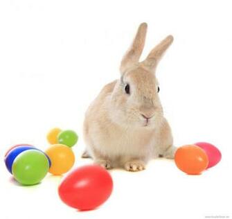 Easter Bunny Wallpaper
