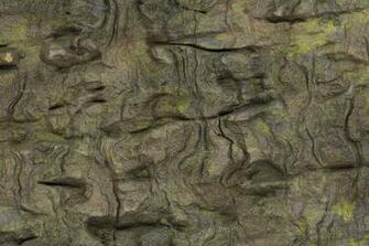 Rocky Cliff Background Textures