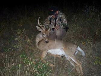 Monster Buck Wallpaper Weddingdressin