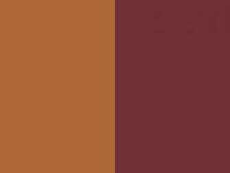Tan Color Background Wine Two