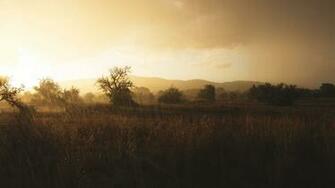 Wallpaper Nature Beautiful Rainy Day