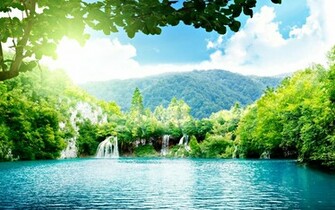 Most Beautiful Landscape Of The Wood HD Desktop Wallpaper