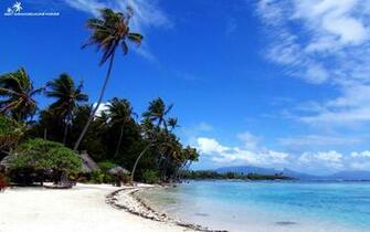 Uploads Windy Day On Tropic Beach Wallpaper Jpg