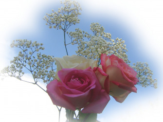 Roses Bouquets Wallpaper
