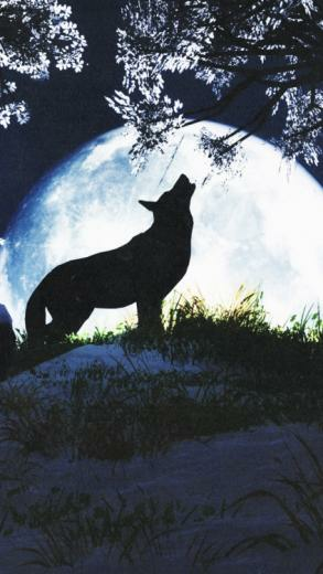 Wolf iPhone Background