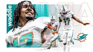Dolphins Wallpaper Miami