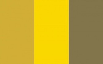 Metallic Gold Color Background Web Golden And