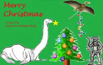 Bizarre Zoology Merry Christmas And A Zoological New Year