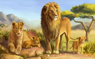 Lion Family Wallpaper Animals Image Wallpaper13