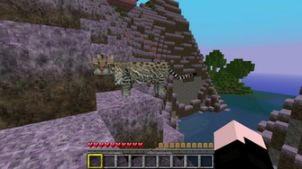 Minecraft Screenshots Minecraftbilderde Das Portal Picture HD Walls