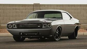 Muscle