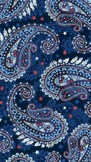 Mobile Wallpaper In Fireworks Paisley Vera
