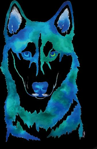 Siberian Husky Watercolor Painting Canidae