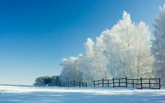 Wallpaper Snow Theme Merry Christmas Background