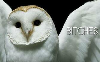 Beautifully Offensive Desktop Wallpaper On Imgfave