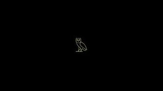 Ovo Owl Wallpaper 4k By Manbearpagan