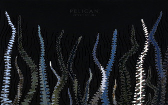 Music Pelican Wallpaper