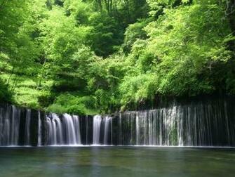 Most Relaxing Desktop Wallpaper This Mystical Forest