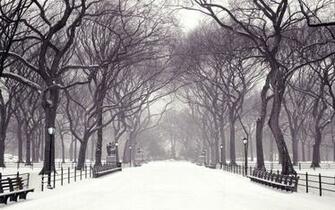 Central Park New York In The Winter Desktop Wallpaper