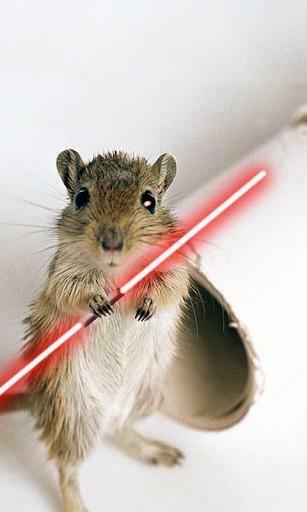 Bigger Cute Rat Wallpaper For Android Screenshot