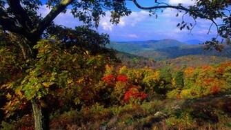 Fall Mountain Scenery Wallpaper Autumn
