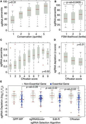 Croatan An Algorithm For Identifying Potent Sgrnas A The