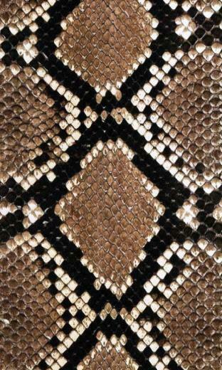 Snake Skin Wallpaper