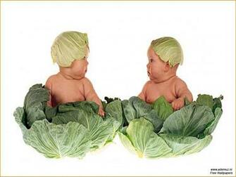 Related Pictures Anne Geddes Valentine Wallpaper
