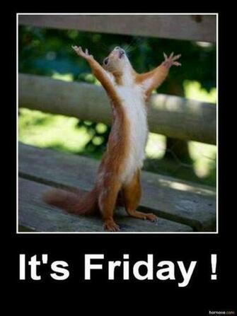 Its Friday Funny
