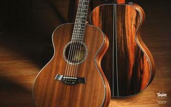 Taylor Guitars Wallpaper