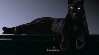 Pics Photos Black Panther Wallpaper