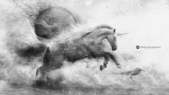 Black And White Animal Horse Pictures Wallpaper55 Best